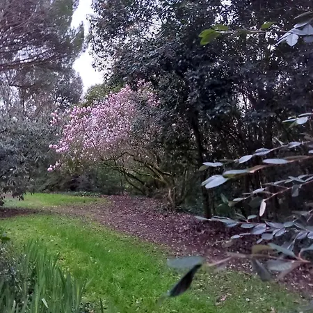 Les Allees Du Chateau Oda ve Kahvaltı Le Mazeau