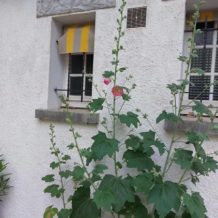 Les Allees Du Chateau