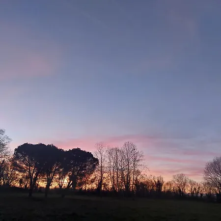 Les Allees Du Chateau Oda ve Kahvaltı