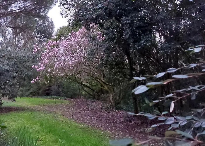 Les Allees Du Chateau Bed and breakfast Le Mazeau