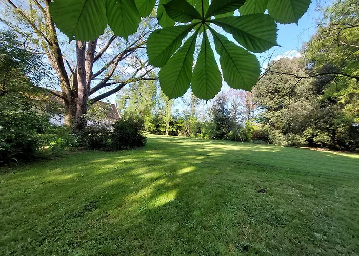 Les Allees Du Chateau 3* Le Mazeau