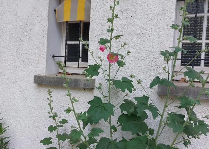 Les Allees Du Chateau