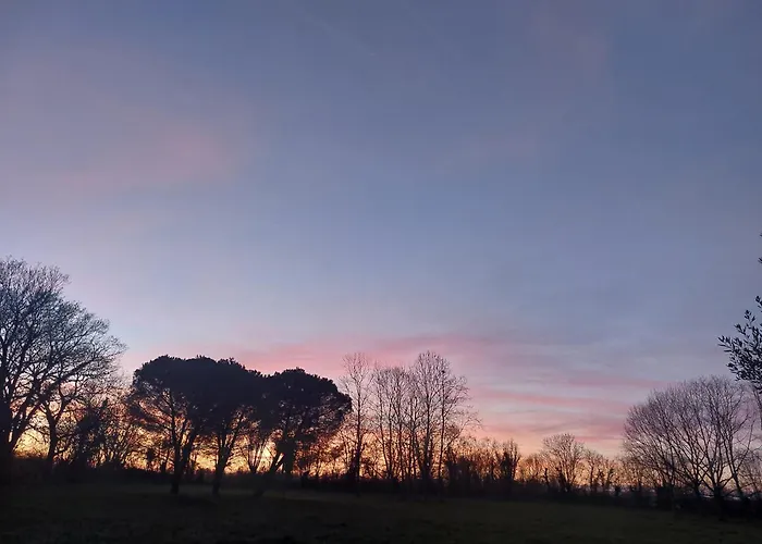 Les Allees Du Chateau Bed and breakfast