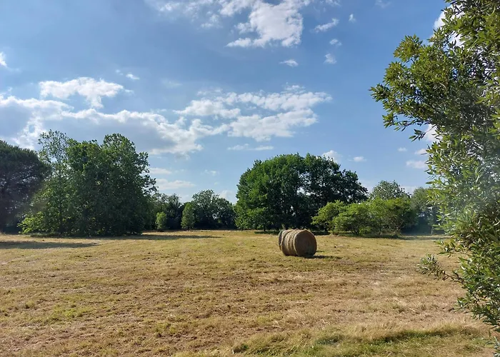 Bed and breakfast Les Allees Du Chateau Le Mazeau